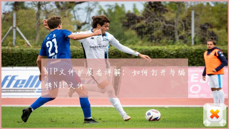 NIP文件扩展名详解：如何打开与编辑NIP文件