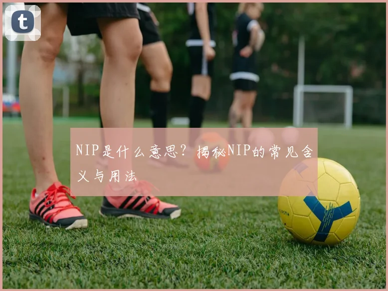 NIP是什么意思？揭秘NIP的常见含义与用法