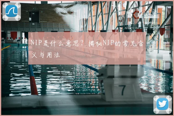 NIP是什么意思？揭秘NIP的常见含义与用法
