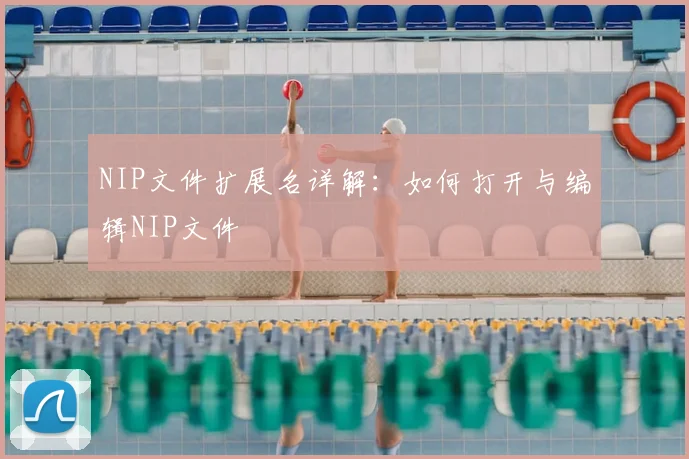 NIP文件扩展名详解：如何打开与编辑NIP文件